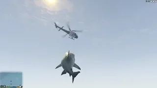 GTA 5 - Shark script mod (Maneater/Jaws Unleashed inspired)