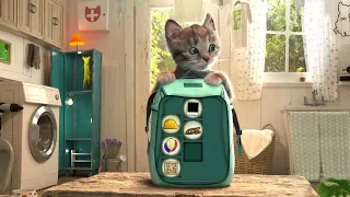 ADVENTURE OF A LITTLE KITTEN cartoon about kittens cartoon for kids and toddlers cartoons on #332