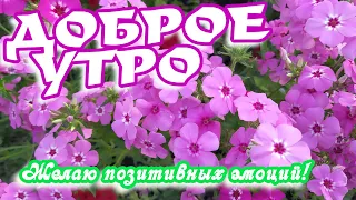 Доброе утро! 🌸Желаю позитивных эмоций 🌸Замечательное пожелание!🌸Good morning!🌸