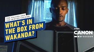 Falcon and Winter Soldier Episode 5: What’s in the Box From Wakanda? | MCU Canon Fodder