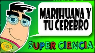 Drogas: Marihuana y tu Cerebro