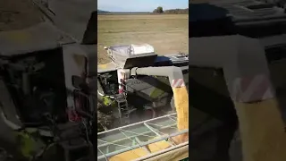 Claas Lexion 8900 Corn harvest