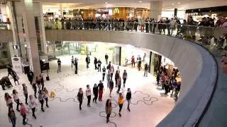 Irish Flash Mob Vienna 2014 - Wien Mitte The Mall