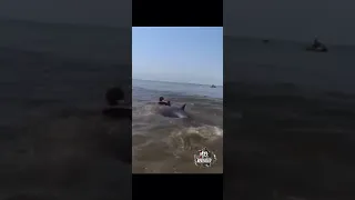 Crazy Topless Woman trying to Ride a Lost Dolphin in the Netherlands