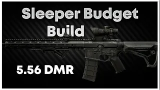 My Go To Budget DMR in Escape From Tarkov