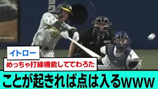 ことが起きれば点は入るwwwwwww【原口文仁3ランホームラン/阪神タイガース/プロ野球/なんJ2ch5chスレまとめ/セリーグ/井上広大/大山悠輔/中野拓夢/糸原健斗/西勇輝/2024年5月16日】