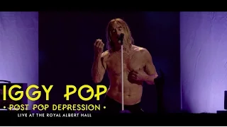 Iggy Pop: Live At The Royal Albert Hall (China Girl Teaser)