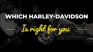 Which Harley-Davidson is right for you in 2022