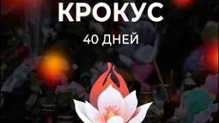 Крокус сити Холл 40 дней