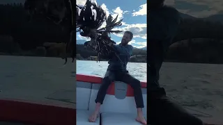 Man Saves an Eagle from Drowning || ViralHog