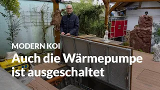 Norberts Filtertechnologie Downsizing über die Jahre | Modern Koi Blog #6603