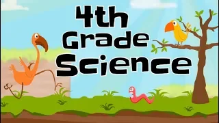 4th Grade Science Compilation