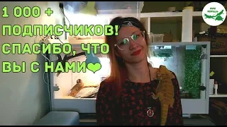 1 000 + подписчиков!
        спасибо, что вы с нами❤