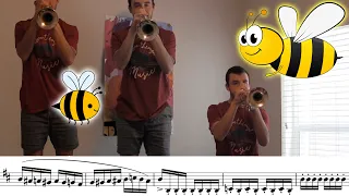 Flight of the Bumblebee played 1 Note at a Time (On Trumpet)