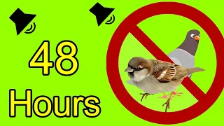 Anti Birds Repellent Sound - calls of birds of prey to scare off pigeons -  sparrows - seagull