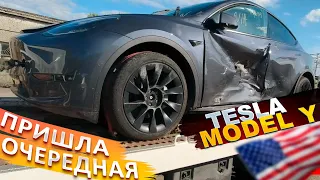 Забираю Tesla Model Y для клиента | Авто под ключ из США