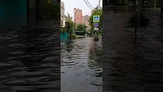Очередной потоп фекалийной канализации в Краснодаре на ул.Гаврилова 8 июля 2023 года.