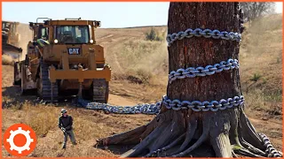 200 CRAZY Powerful Machines Forestry That Are on Another Level