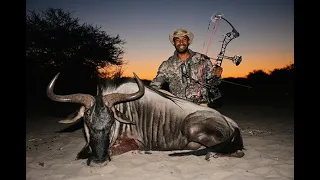 Cameron Mitchell bowhunting Blue Wildebeest in Botswana