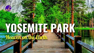 Top 5 Must-See Attractions in Yosemite | Yosemite National Park One Day Trip by The Unplanned Way