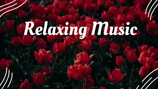Relaxing Music - for Relaxation, Mediation and Sleep