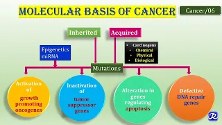 6: Molecular Basis of Cancer | Biochemistry of Cancer I N'JOY Biochemistry