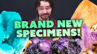 Brand New Rare Specimens! | Calcite, Aragonite, Scheelite and more!