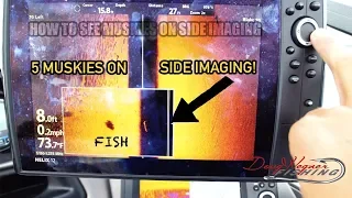 5 MUSKIES ON SIDEIMAGING (HOW TO SEE MUSKIES ON SIDEIMAGING) Canadian Vlogs Day 14.5