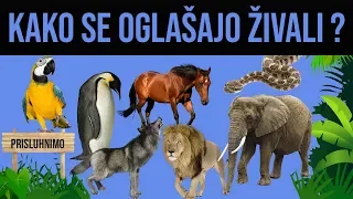 how animals sounds like? for kids