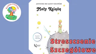 Streszczenie szczegółowe lektury "Mały Książe"