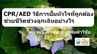 CPR/AED วิธีการปั้มหัวใจที่ถูกต้อง ช่วยชีวิตช่วงฉุกเฉินอย่างไร