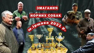 Змагання норних собак | Іршава 2021 рік