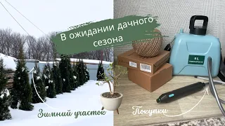 Участок зимой | Первые покупки к дачному сезону | Обрезка толстянки