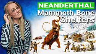 44,000 Year Old Neanderthal Mammoth Bone Shelter