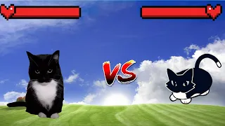 Maxwell cat vs Maxwell cat part 2