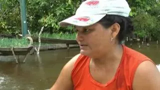 O desperdício de peixe em Manaus