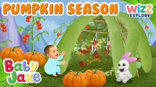 @BabyJakeofficial - Pumpkin Season 🎃 🍂 | Halloween | Episodes | @WizzExplore
