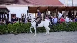 XL Feira Nacional do Cavalo_Golegã 2015