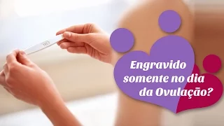 Engravido somente no dia da ovulação?