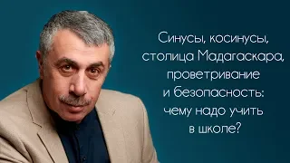 Синусы, косинусы, столица Мадагаскара, проветривание и безопасность: чему надо учить в школе?