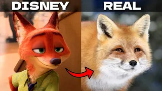 ZOOTOPIA Characters in REAL LIFE | miniship