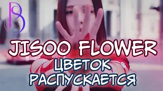 JISOO - ‘FLOWER’  TEASER - Реакция | Разбор тизера | Скрытый смысл