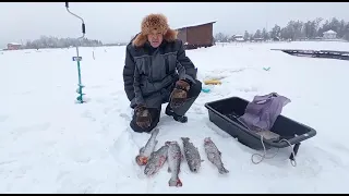 Три Пескаря !