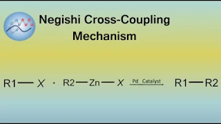 Negishi Cross-Coupling Mechanism | Organic Chemistry