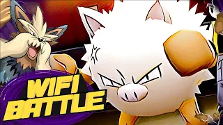 PRIMEAPE THE RAGE OF A GHOST - Pokemon BDSP wifi battle