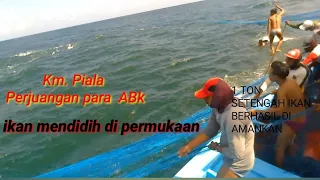 Luar biasa ikan mendidih di permukaan Km Piala berhasil tangkapan melimpah