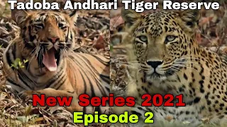 Tadoba Andhari Tiger Reserve || Agarzari Buffer || New Series 2021 || Episode 2