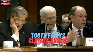 You believe in the tooth fairy? Kennedy questions Litterman, Holtz-Eakin on climate in Budget