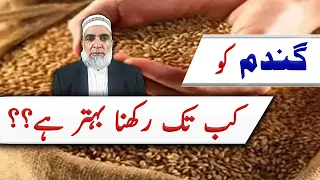 How much is the chance of increase in Rate of Wheat and its Storage || Crop Reformer