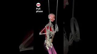 ADAPTIVE RINGS MUSCLE-UP 💪⬆️